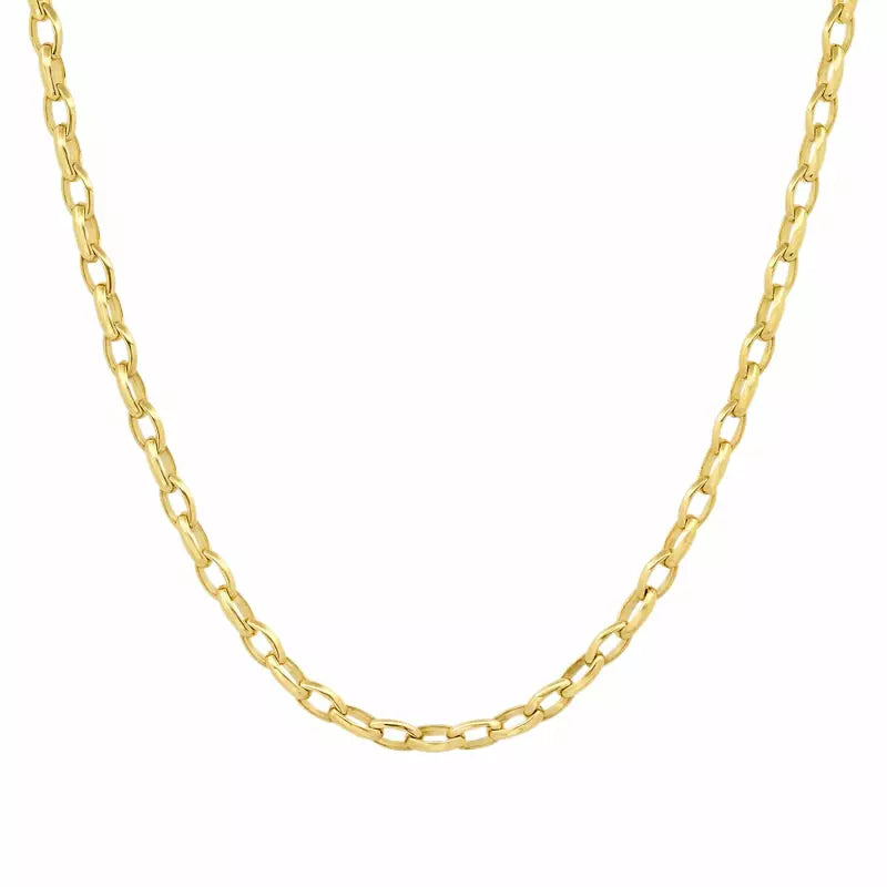 Small Luxe Edith Link Necklace